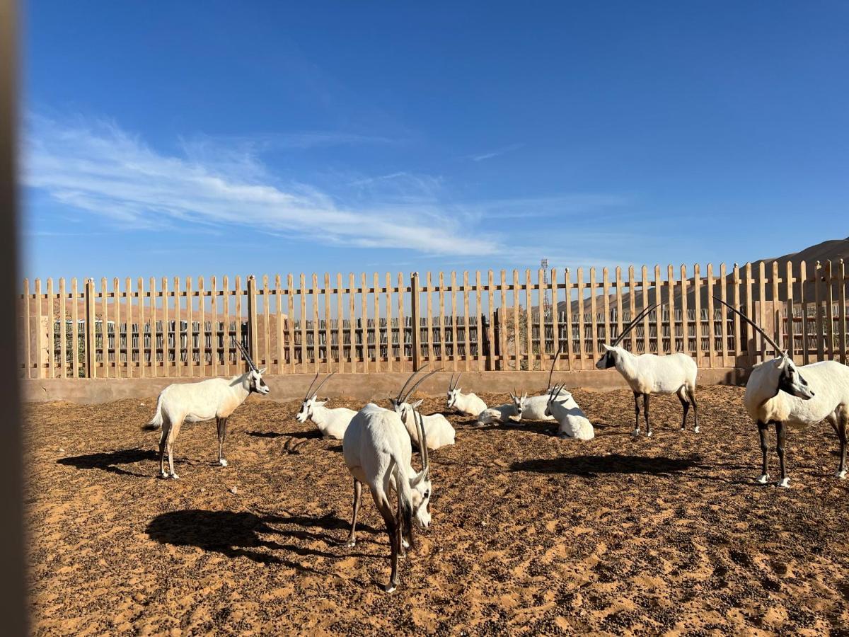 Hotel Arabian Oryx Camp Shāhiq Exterior foto