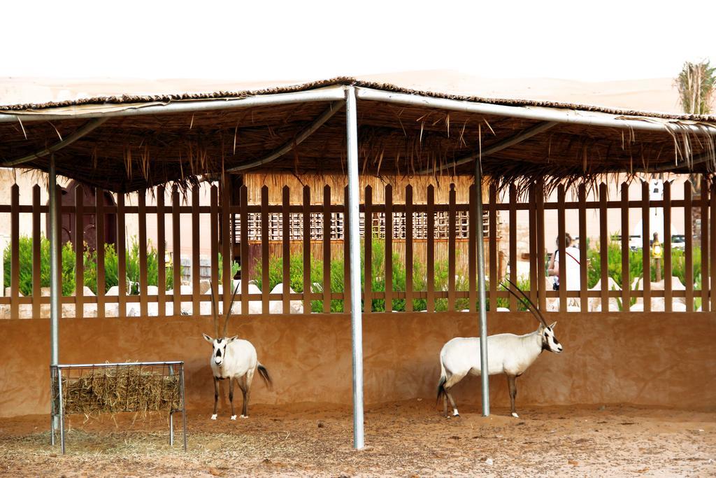 Hotel Arabian Oryx Camp Shāhiq Exterior foto